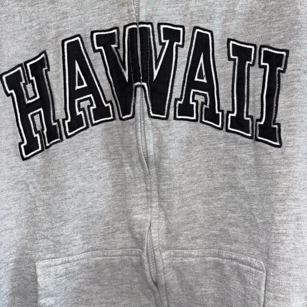 Gray Zip-Up Hoodie - Picture 2 of 8